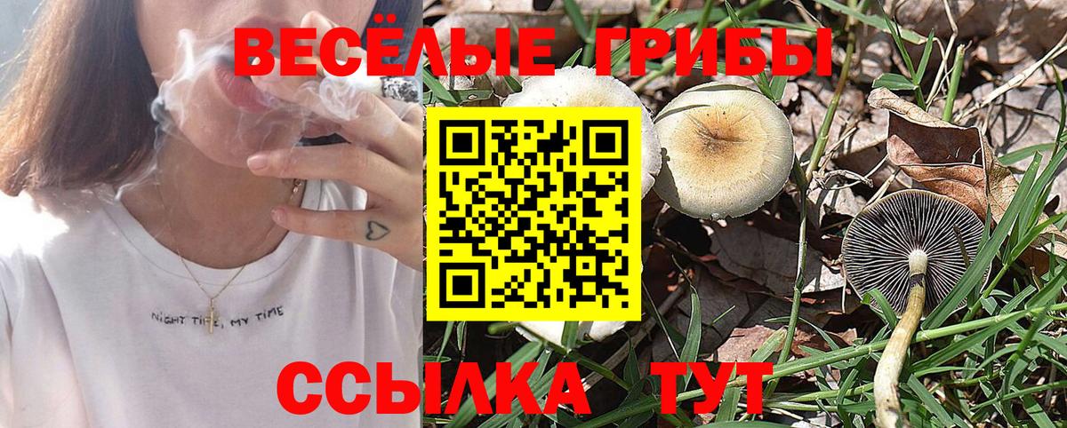 Псилоцибиновые грибы мухоморы Краснодар