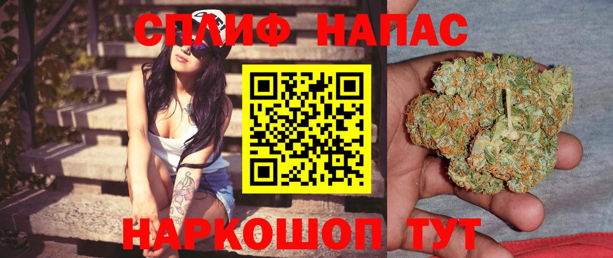 Бошки Шишки гибрид  Бошки Шишки план  Конопля семена  Вход с VPN  Краснодар 